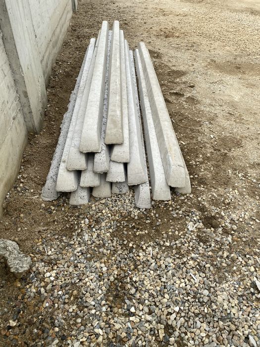 Stalpi de beton / Spalieri de vie si gard