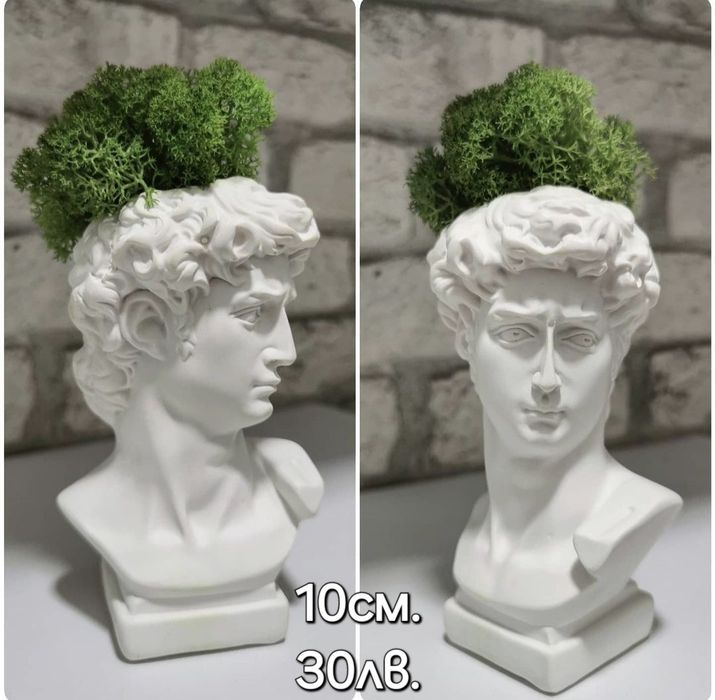 Различни видове кашпи със скандинавски мъх