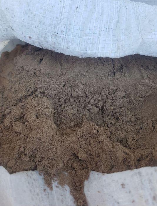 Артемия , цист артемии