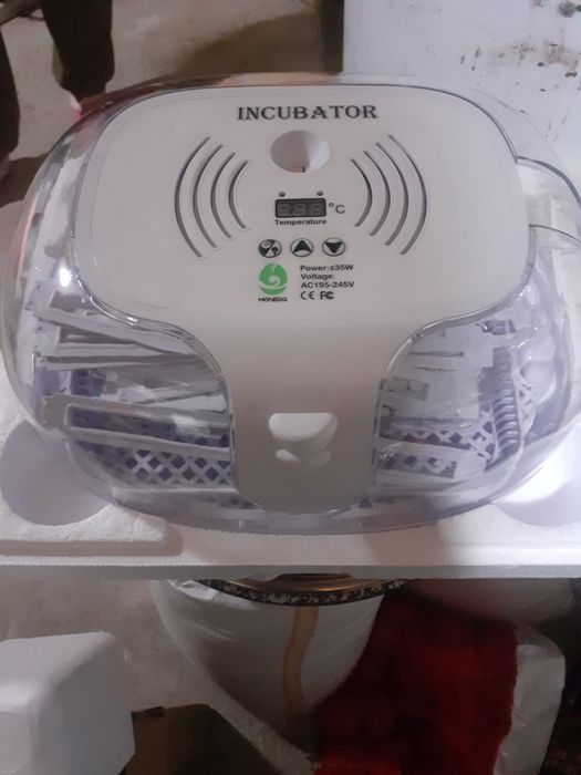 Incubator manual 16 oua gaina