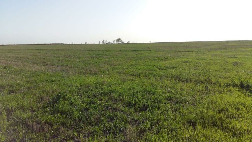 Продам Крестьянское хозяйство