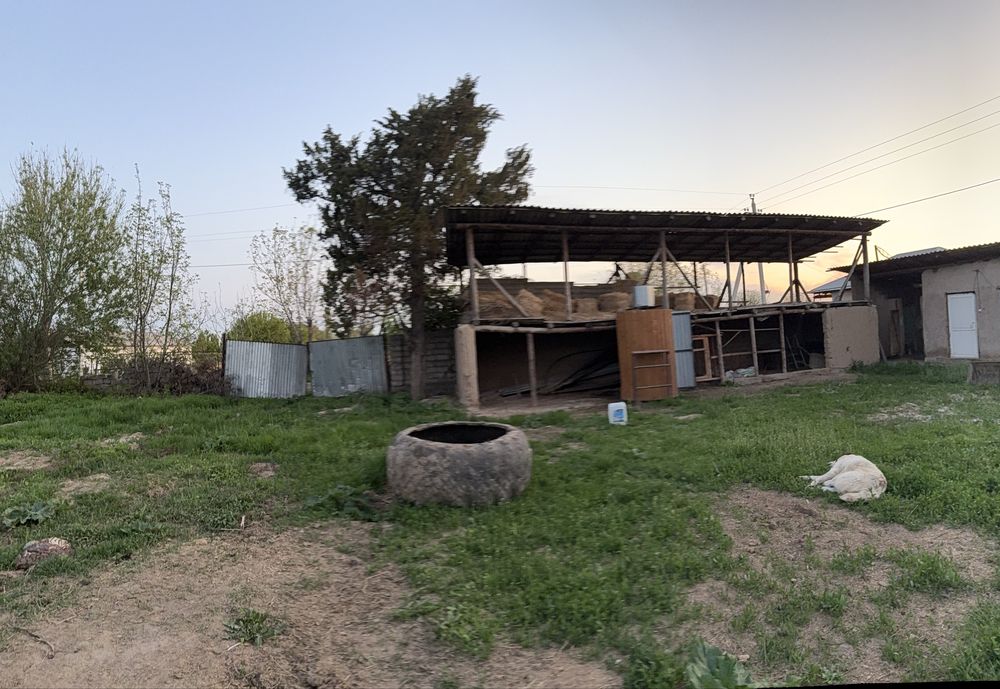 Үй сатылады 19 млн. Саудасы бар