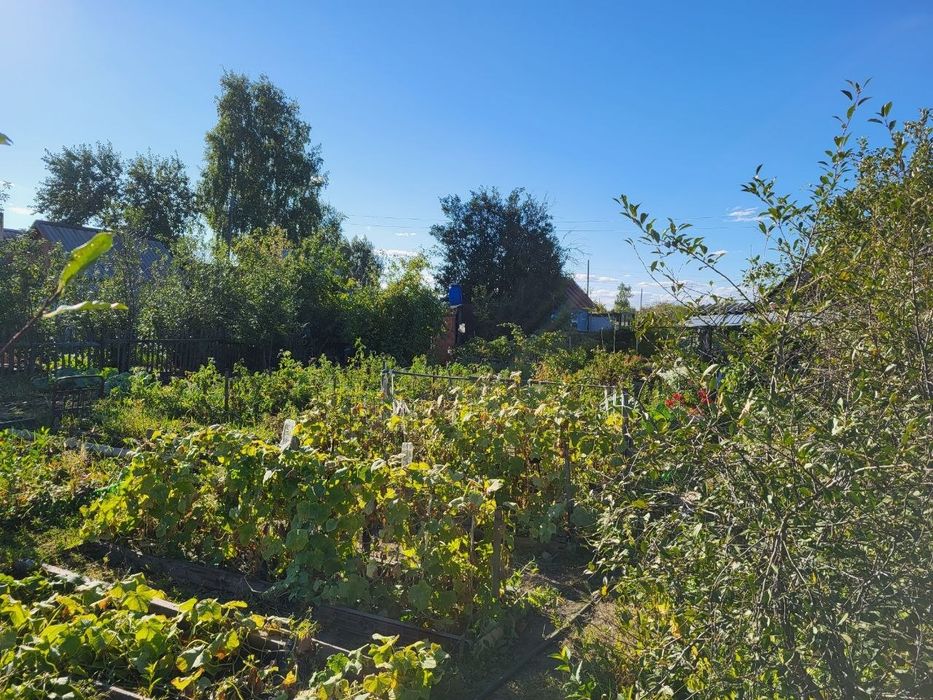 Продам дачу в СО Пригородное