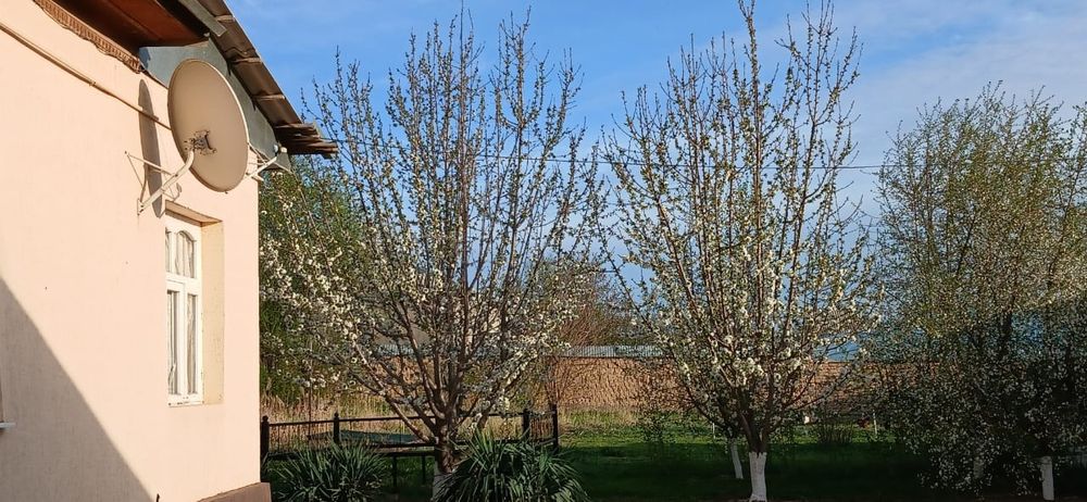 Үй сатылады тез арада