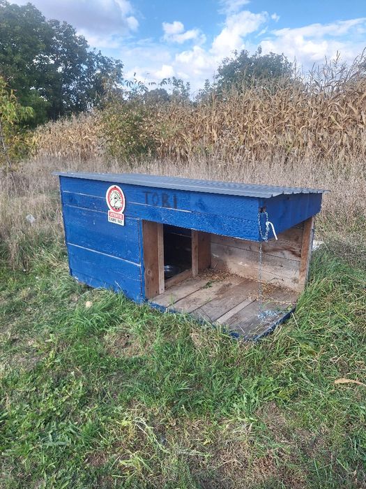 Cusca pentru caini