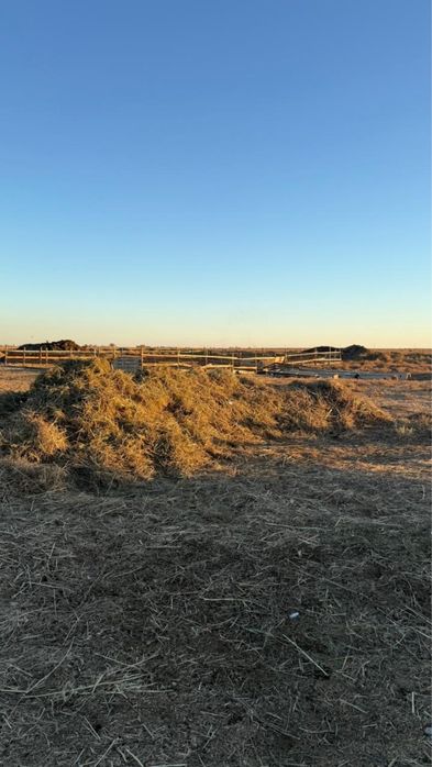 Қора арендаға беріледі