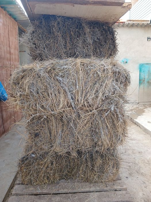 Жусан шоп сатылады