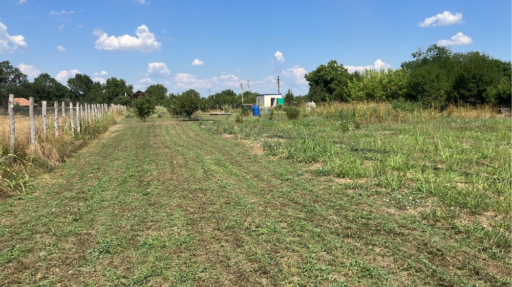 Teren 6.150 mp intravilan Gradistea, Ilfov