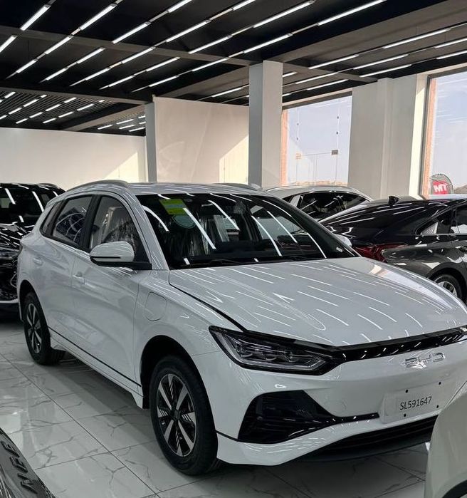 Byd e2 luxury 2024
