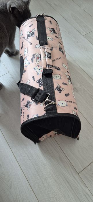 Cusca transport pisica