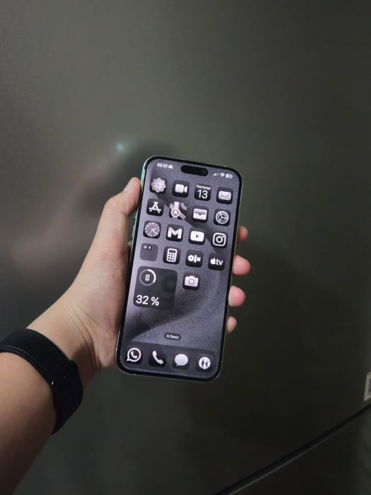 iPhone 15 Pro Max 8/256 gb