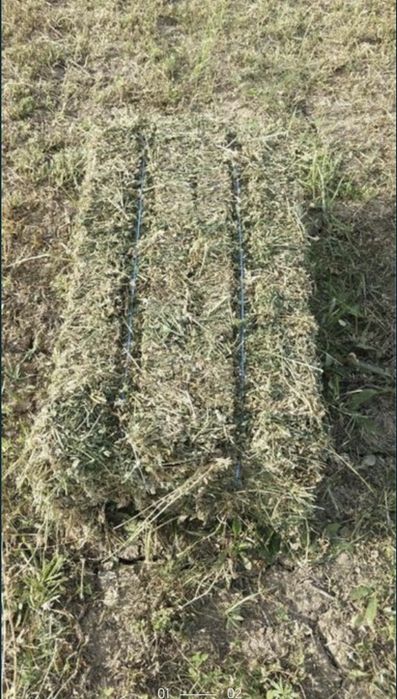 Vand baloti trifoi anul 2025