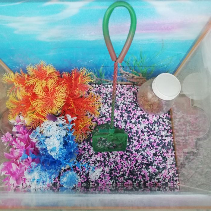 Аквариум средний обмен