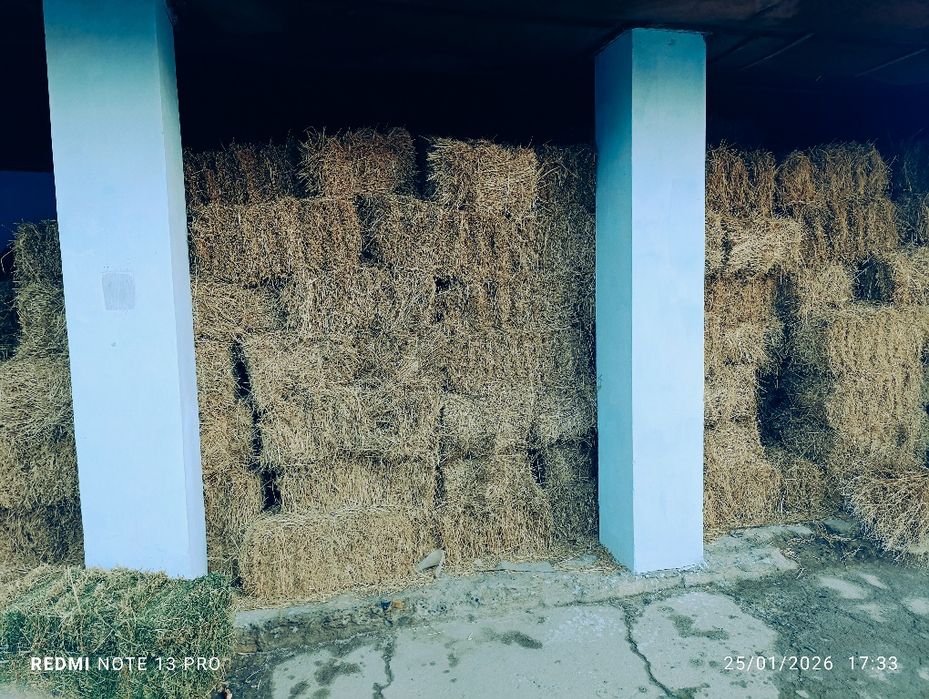 Beda pres  bor Sirdaryo dan