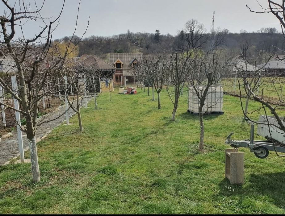 Teren casă str. Chateau Thierry,  Cisnadie