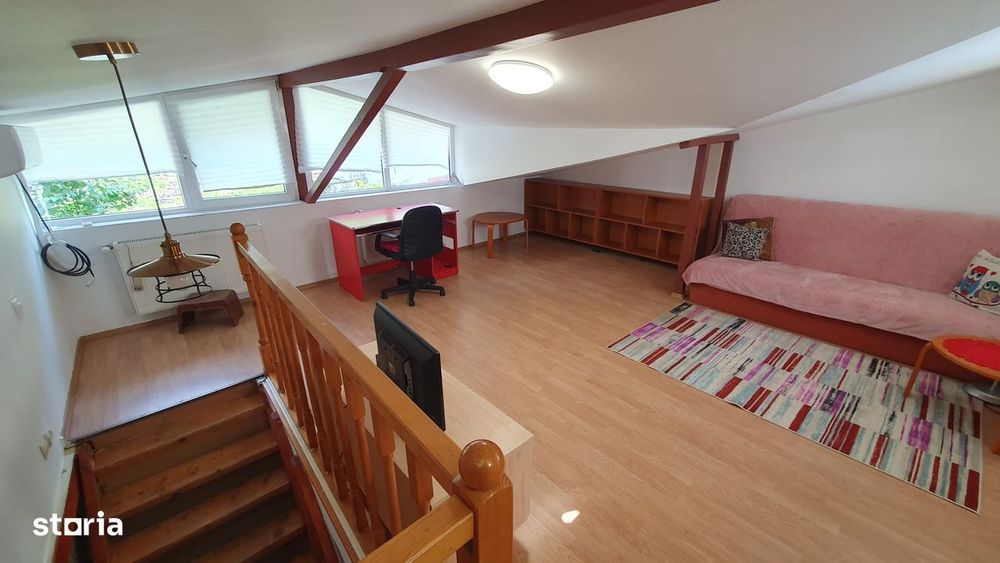 Drumul Taberei, Raul Doamnei