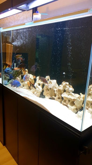 Продам Аквариум с рыбками и с тмбочко 30 штук.