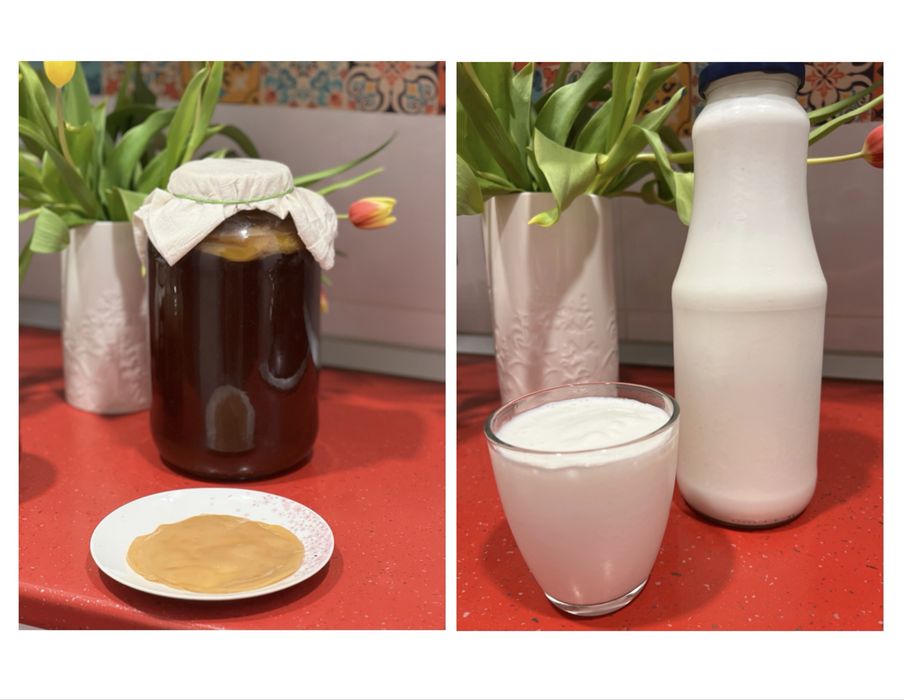 Kombucha, Kefir de lapte - set 2 culturi vii pentru fermentație acasă