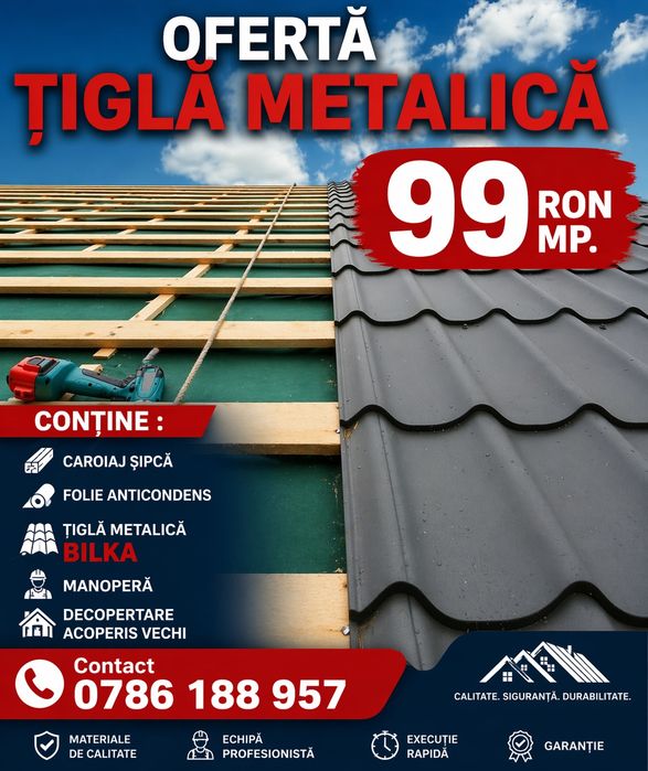 Reparatii Acoperisuri , Vopsire ,  Terase ,  Jgheaburi ,  Burlane ,