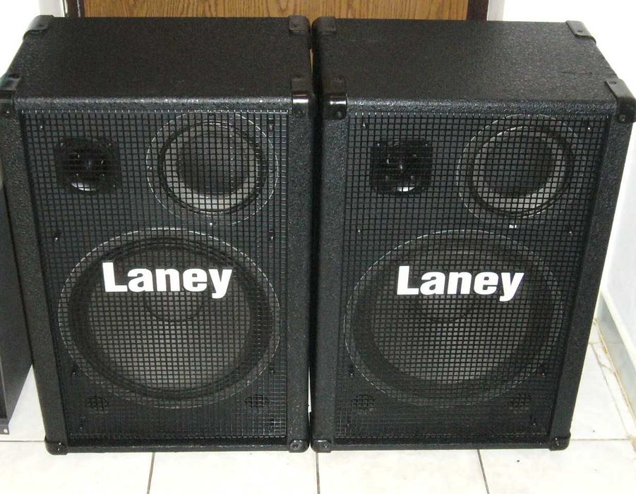 Boxe Profesionale 15" LANEY