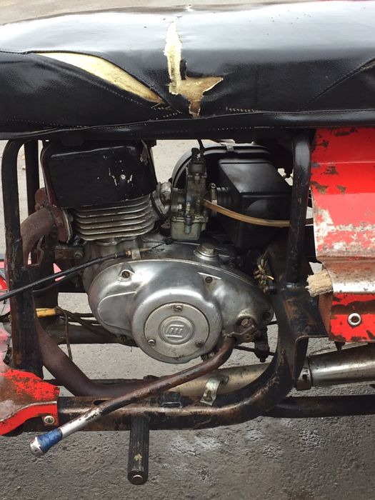 Продам муравья