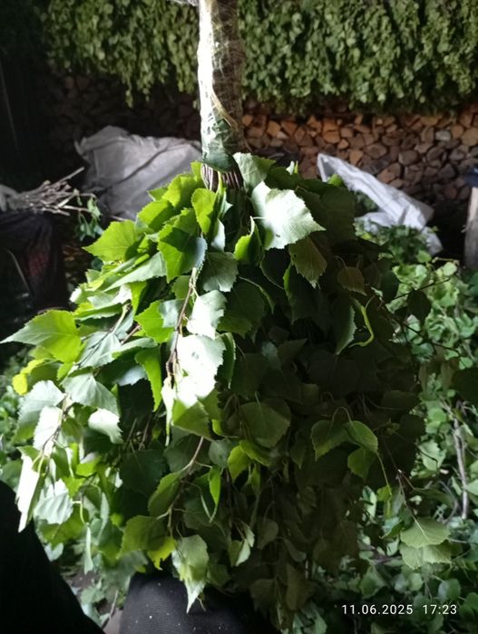 Березовый веник.