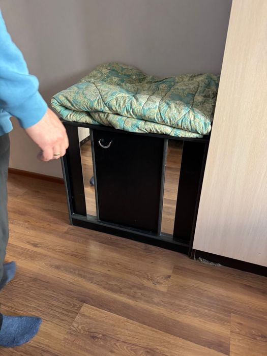 Мебель диван,кровать,шкаф, двери, ковры.