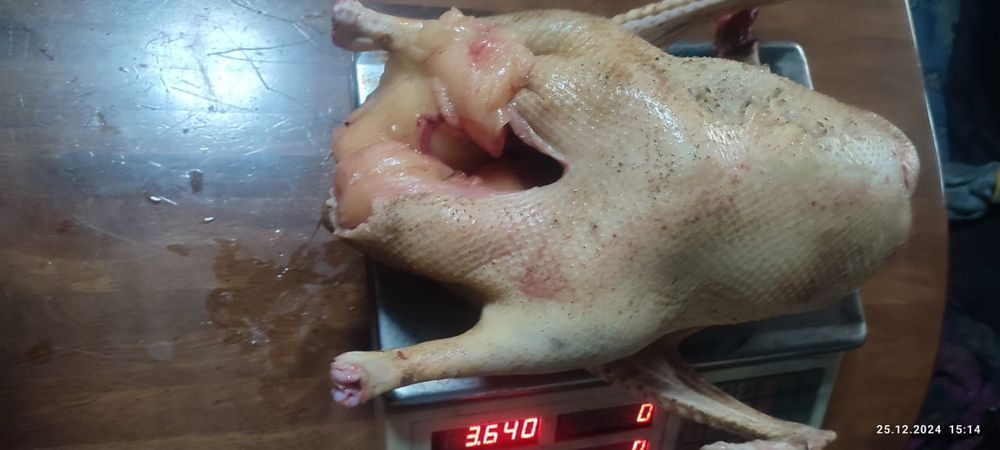 Продам гусей на согым