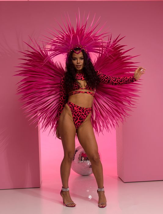 Ангелски крила различни модели