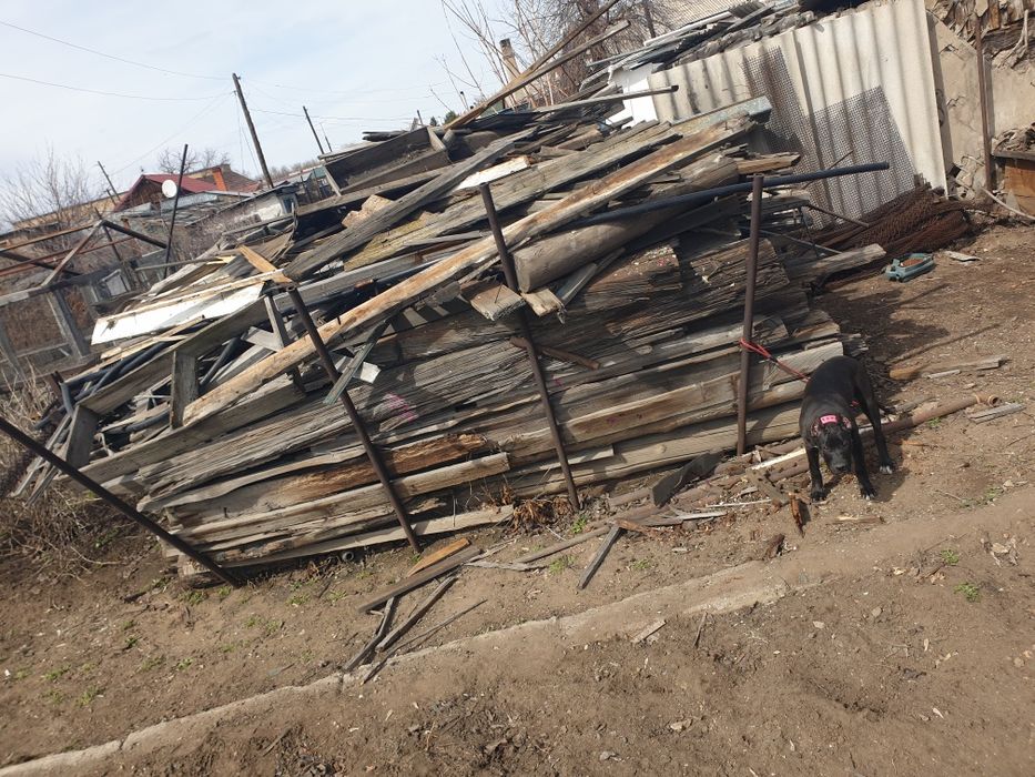 Дрова даром отдам