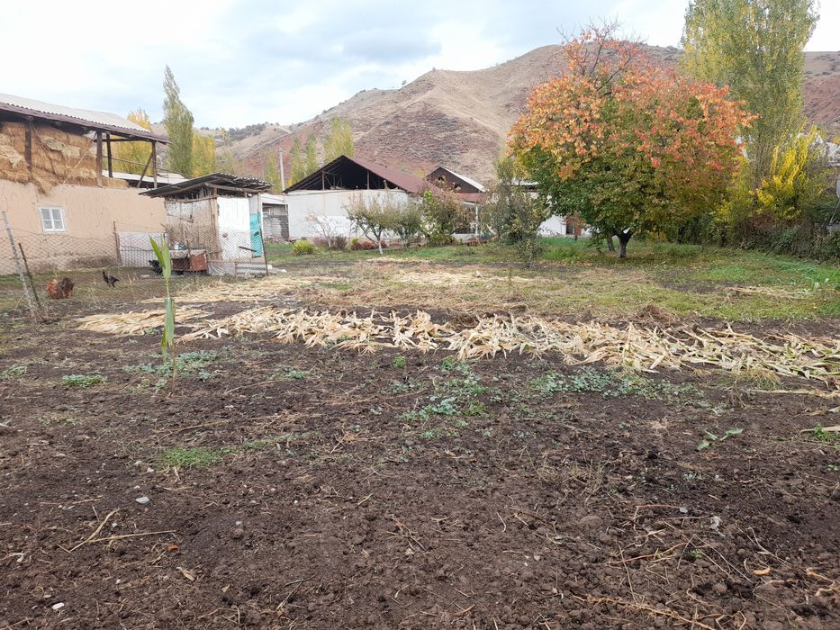 Dacha uchun yer sotiladi manzaralı joy seter gaz SUV xammasi yaxsh