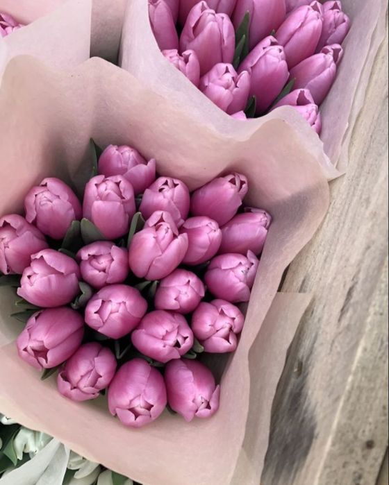 Тюльпаны в розницу Астана