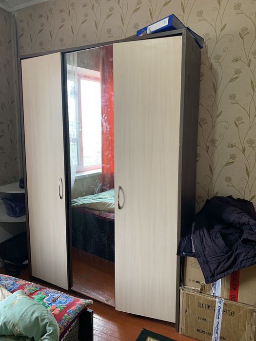 Шкаф для одежды платяной