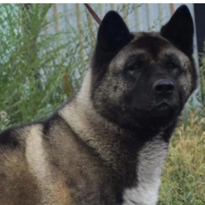 Детки от этой красивой пары