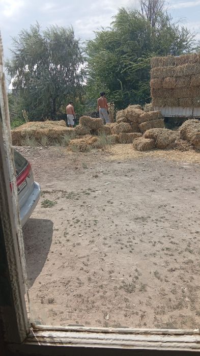 Сено под покров свежий кос