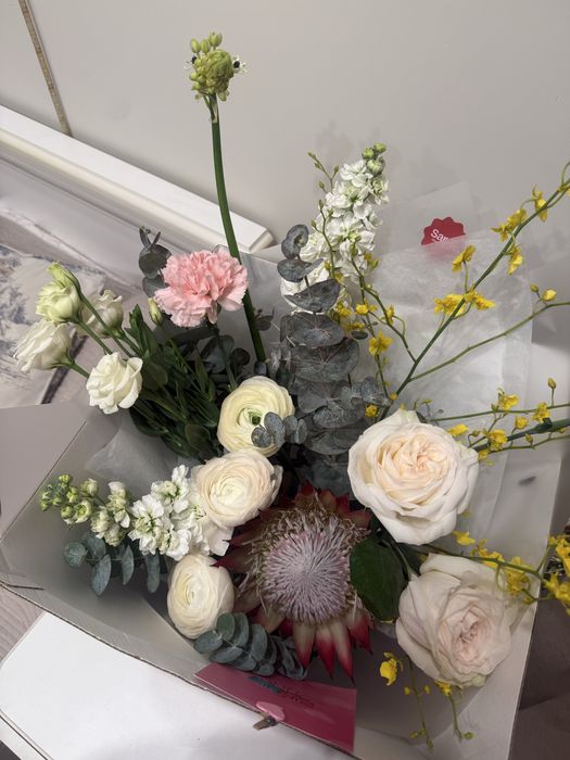 Продам цветы новые