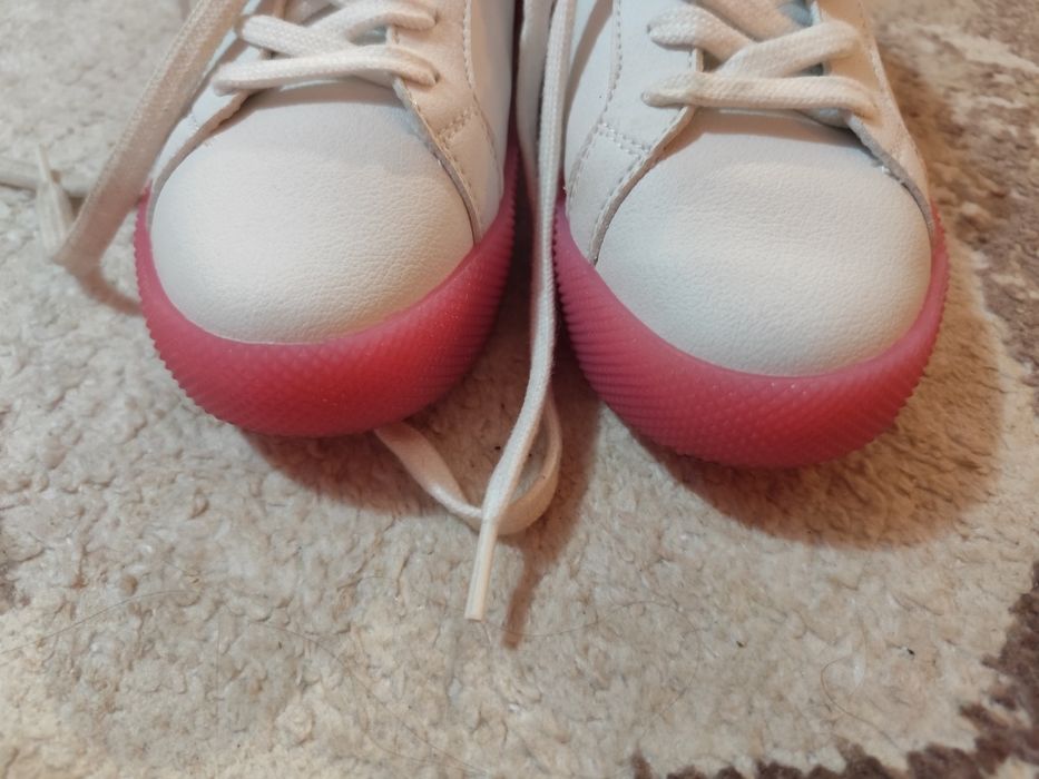 Champion 36 номер