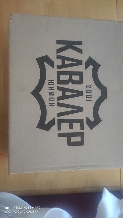 Мъжки обувки/боти 43 номер