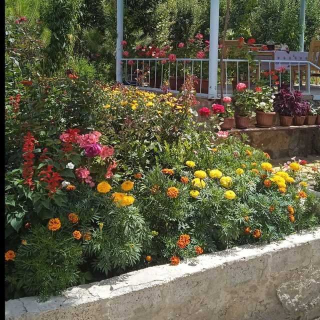 продаётся Дом в Бостанлыкском районе село Испай