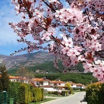 Продава се Къща в с. Кладница, Област Перник - 200 кв.м за 2000 €/кв.м - Снимка #4