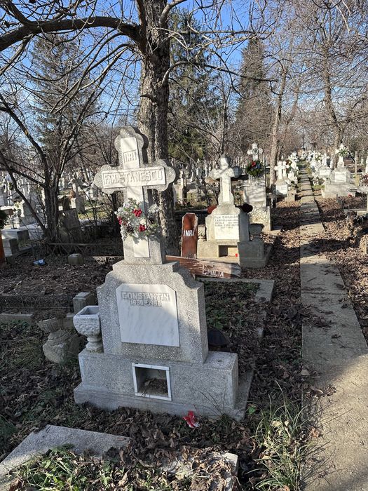 Loc de veci Cimitir Damaroaia
