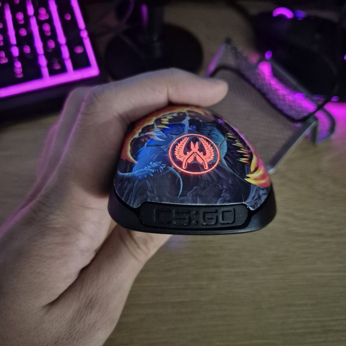 Mouse CS:GO SteelSeries