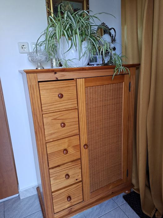 Mobilier hol ( pantofar)