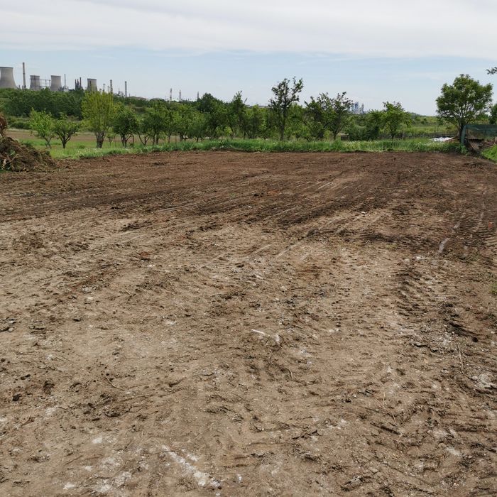 Teren Bradu la 5 km de Pitesti