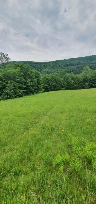 Vând teren în loc. Negreni, jud. Cluj