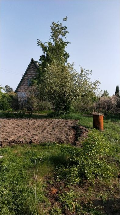 Недвижимость