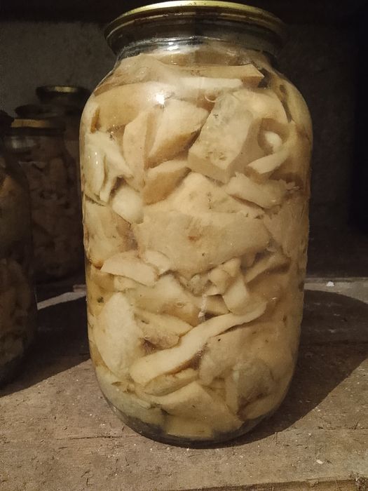 Продам Грибы грузди