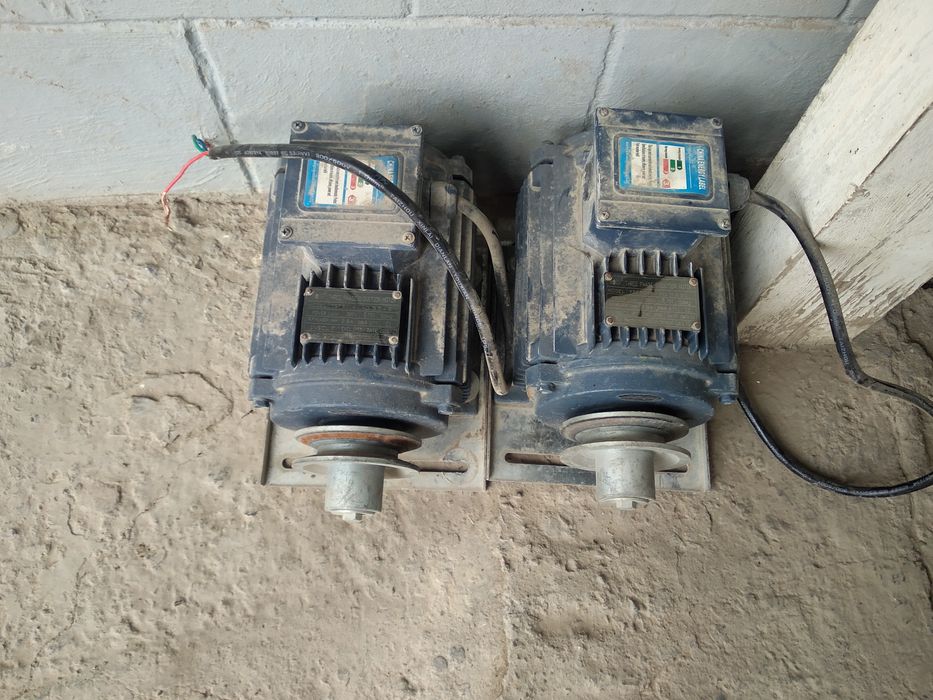 Mator yengidey turibdi