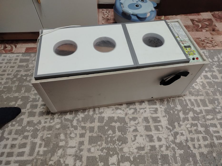 Инкубатор для яиц