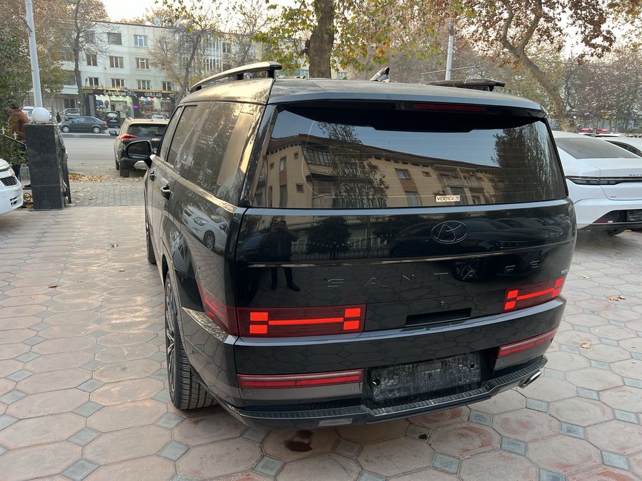 Hyundai Santa Fe Calligraphy